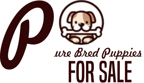 Pure Breed Puppies Sales